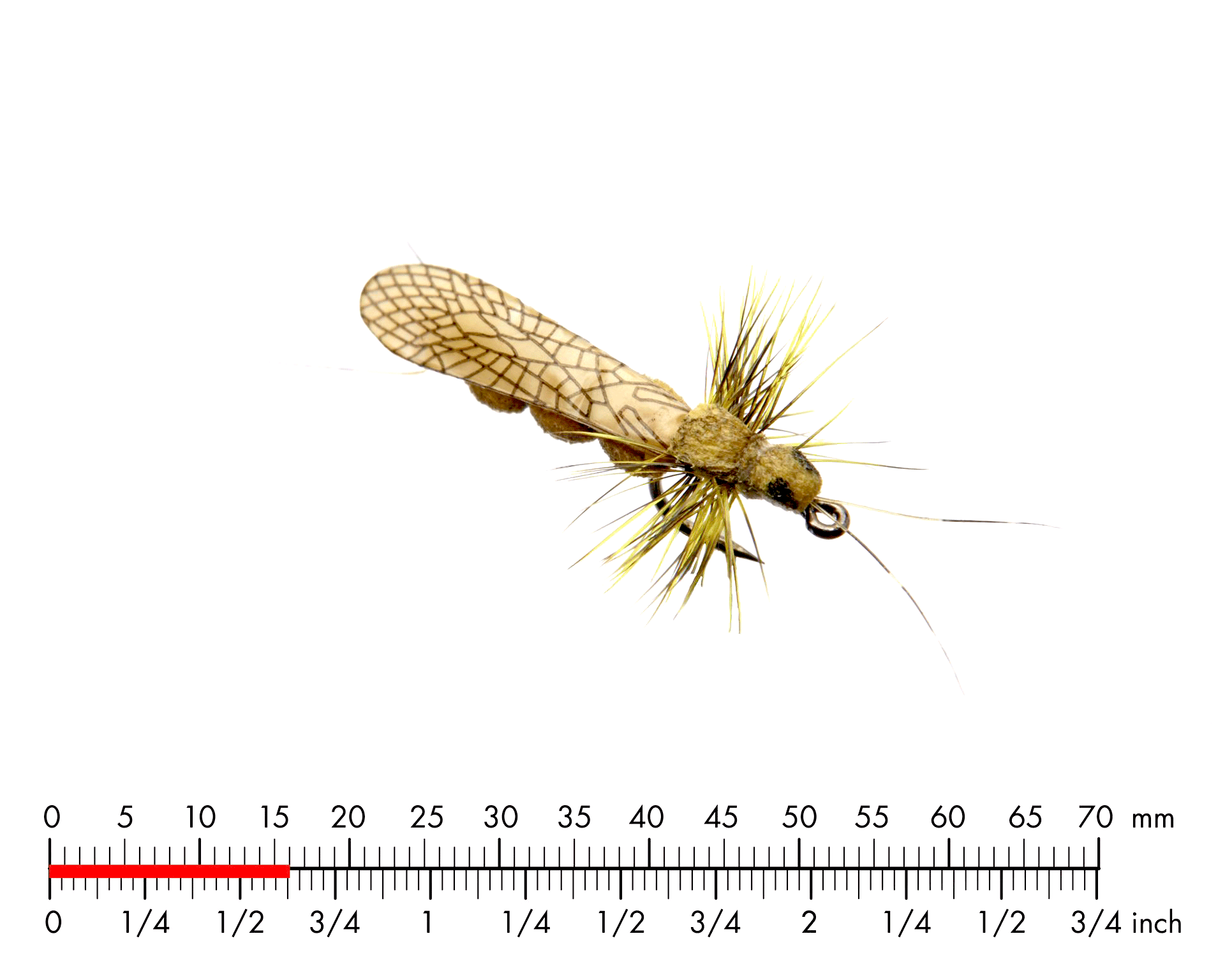 Bäckslända Vuxen 4 Yellow