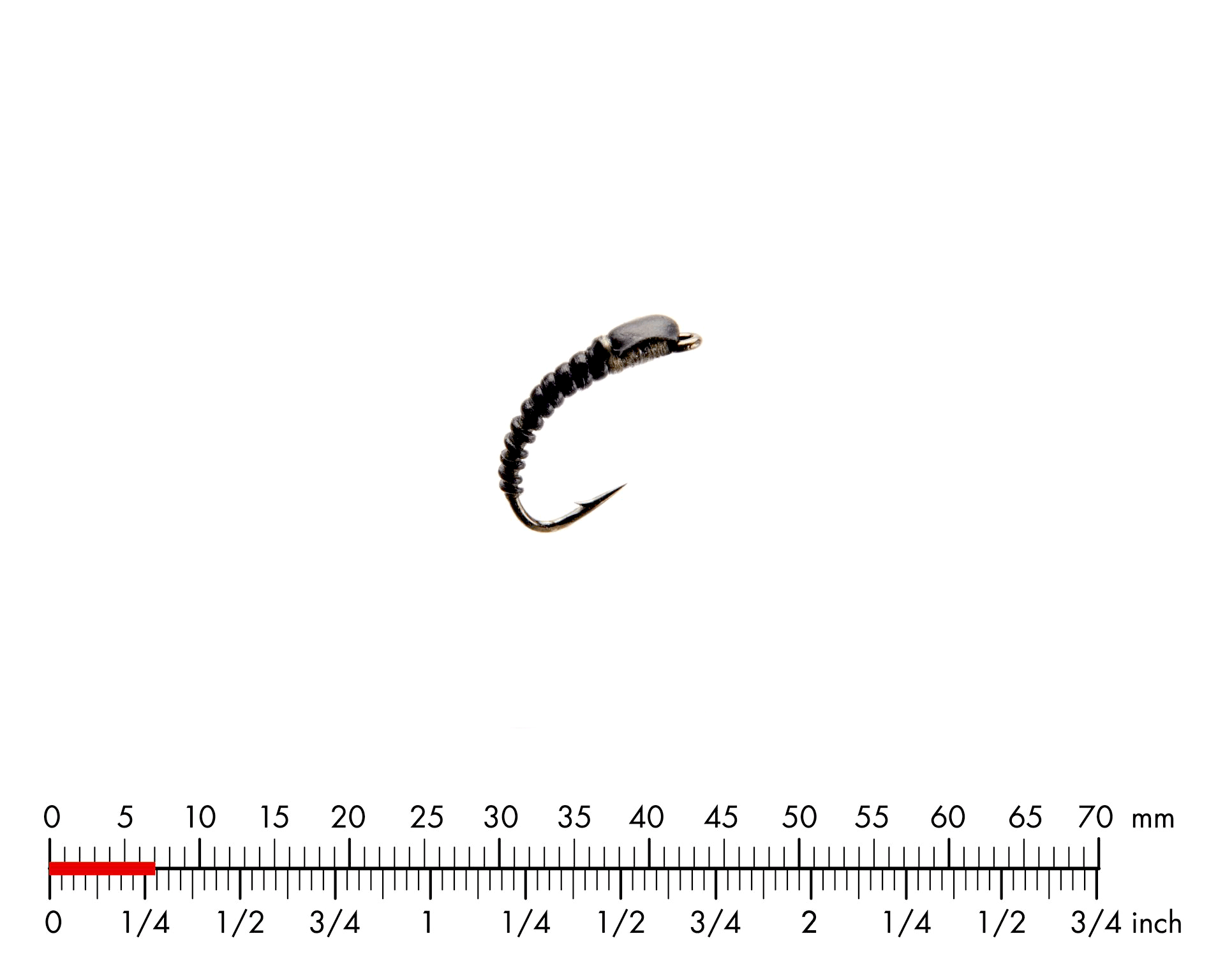 Fjädermygga Larv 5 Black