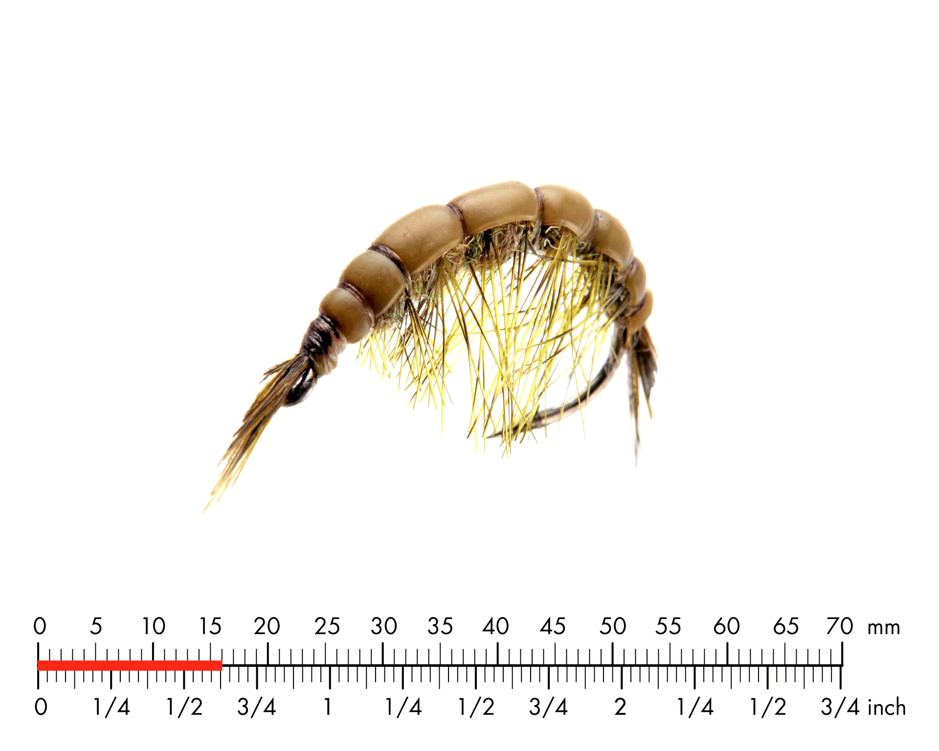 Märla 1 Olive Brown