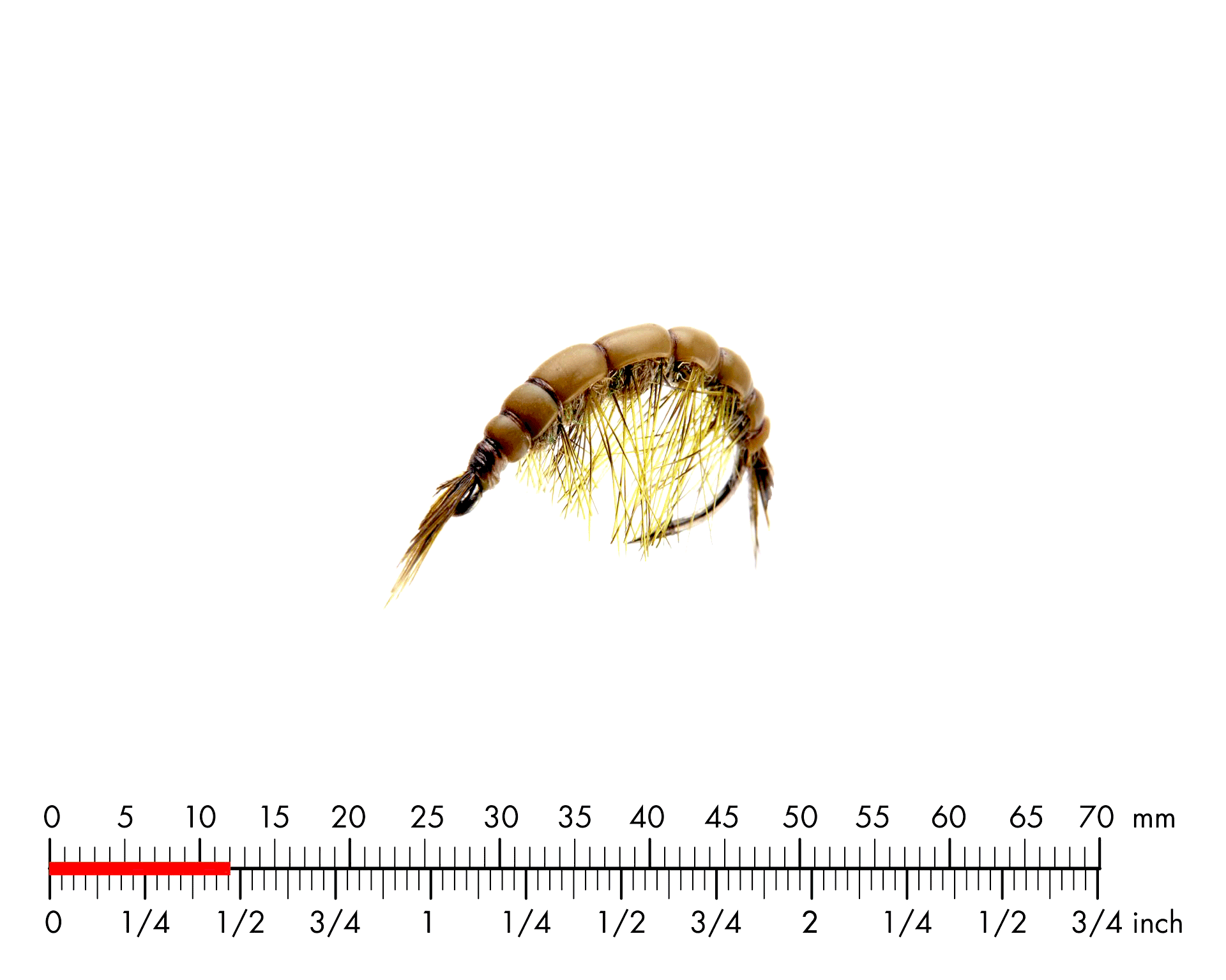 Märla 3 Olive Brown