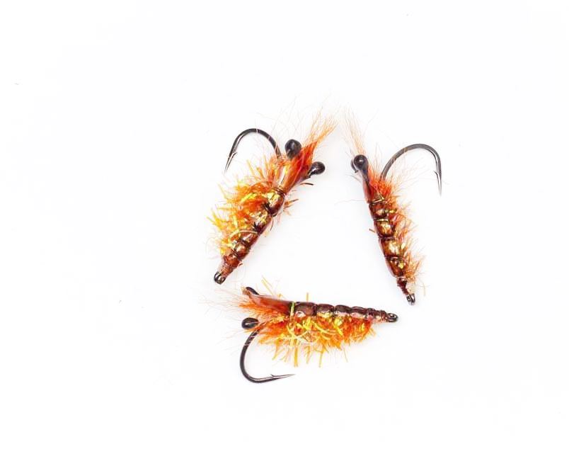 Crystal Shrimp Brown #4