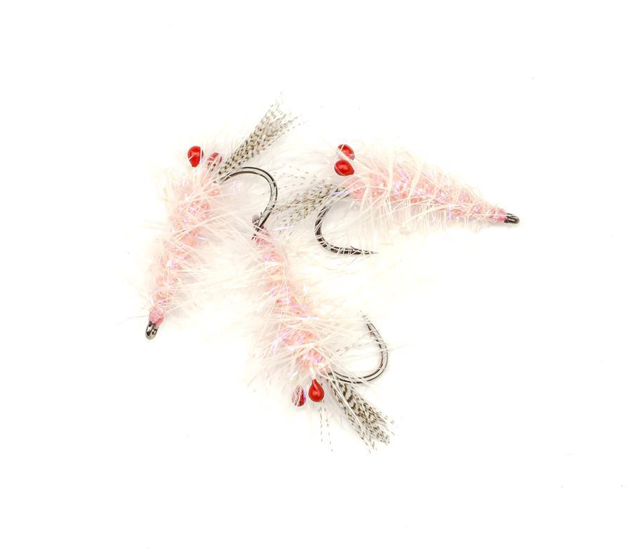 Pink Alive Shrimp #8