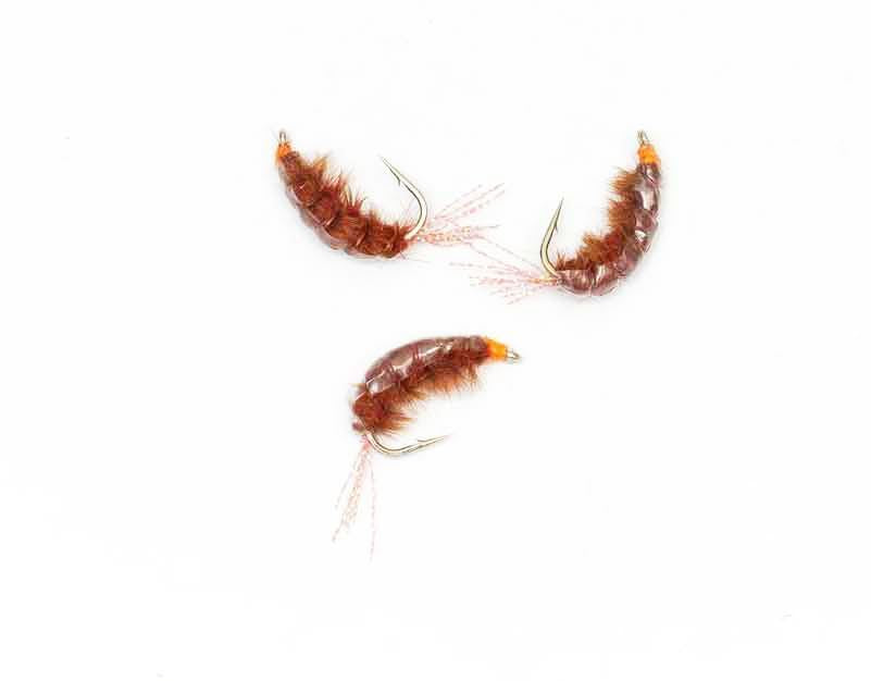 Seaweed Flea Brown #6