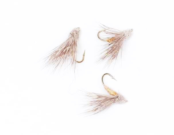 Streaking Caddis Nature #10