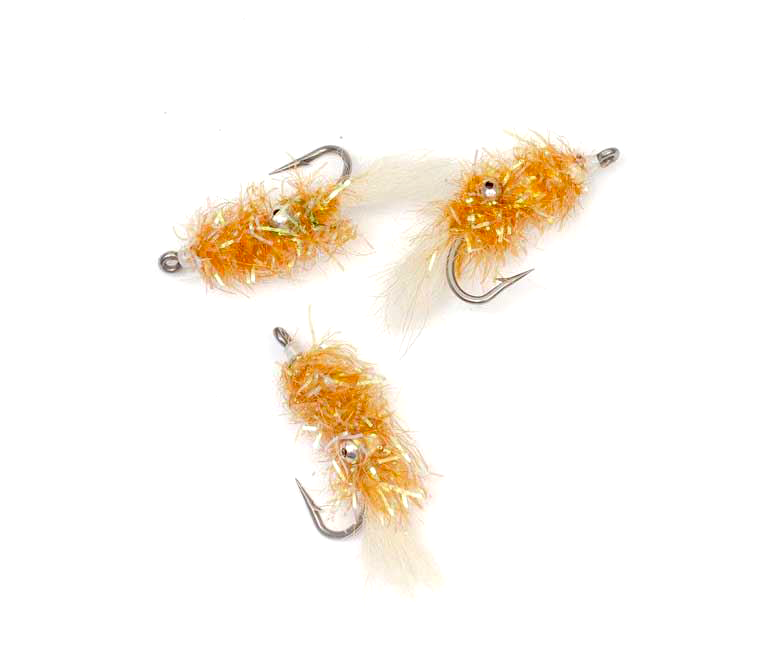 Cactus Shrimp Gold #4