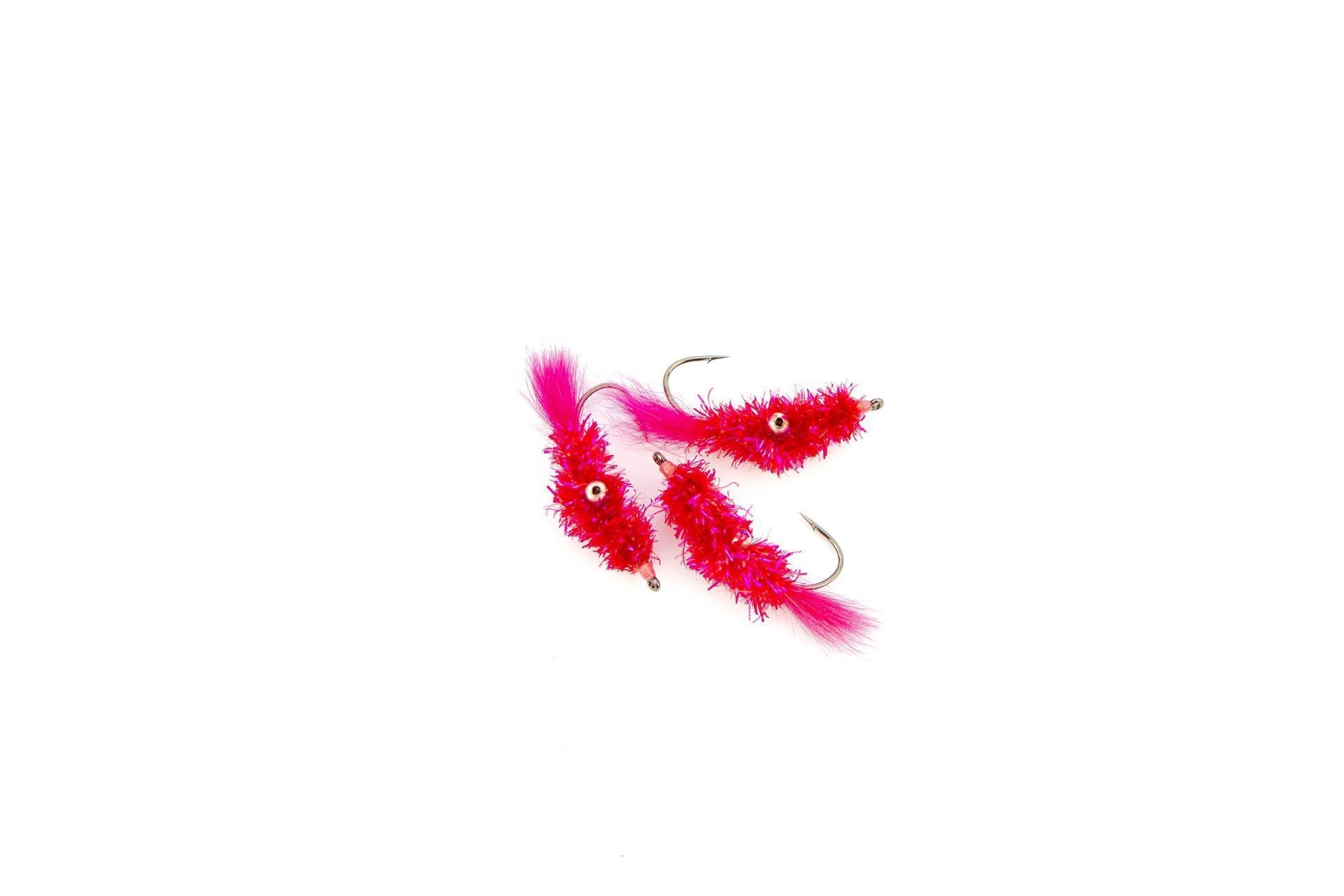Cactus Shrimp Pink #4