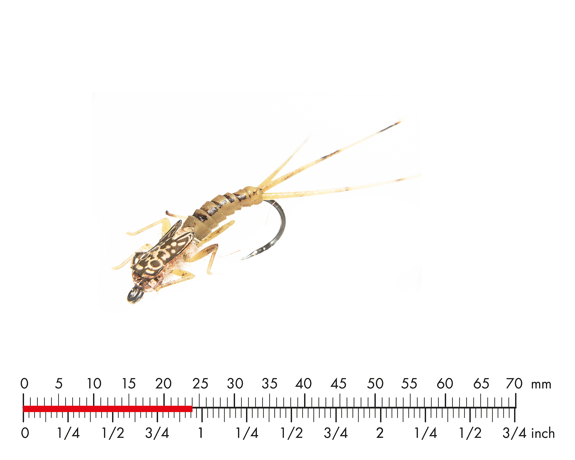 Tungsten Mayfly Nymph 2 Olive Brown