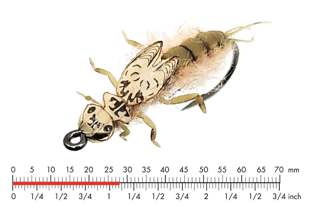 J:son Tungsten Mayfly Nymph 1 Olive Brown #4