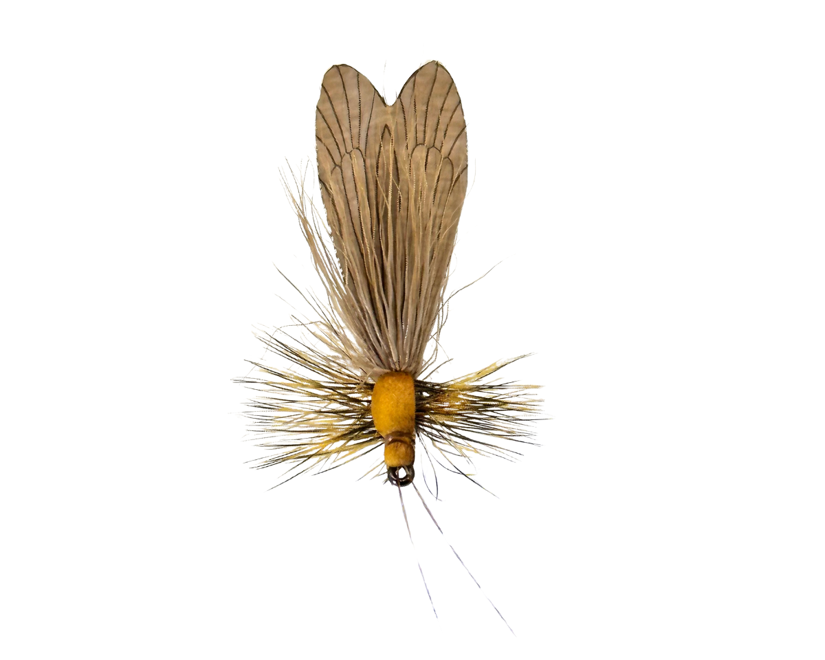 J:son Caddis Adult 3 Brown #18
