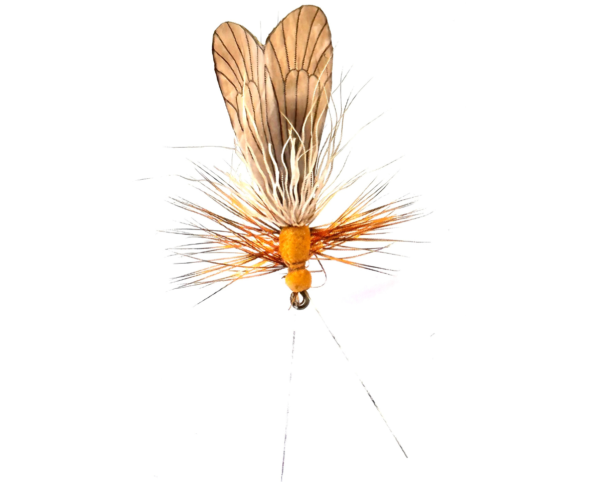 J:son Caddis Adult 2 Brown #14