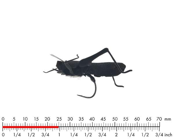 J:son Hopper 3 Black #12