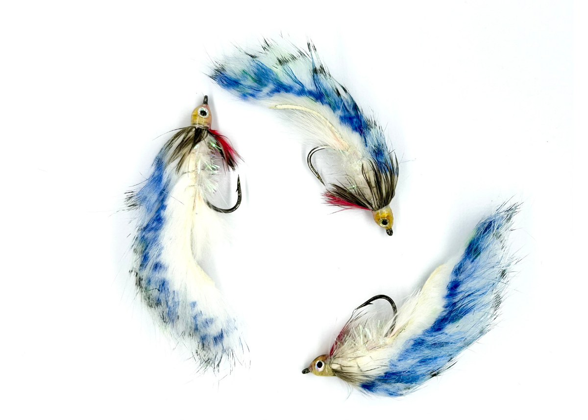 Zonker Barred Blue #6