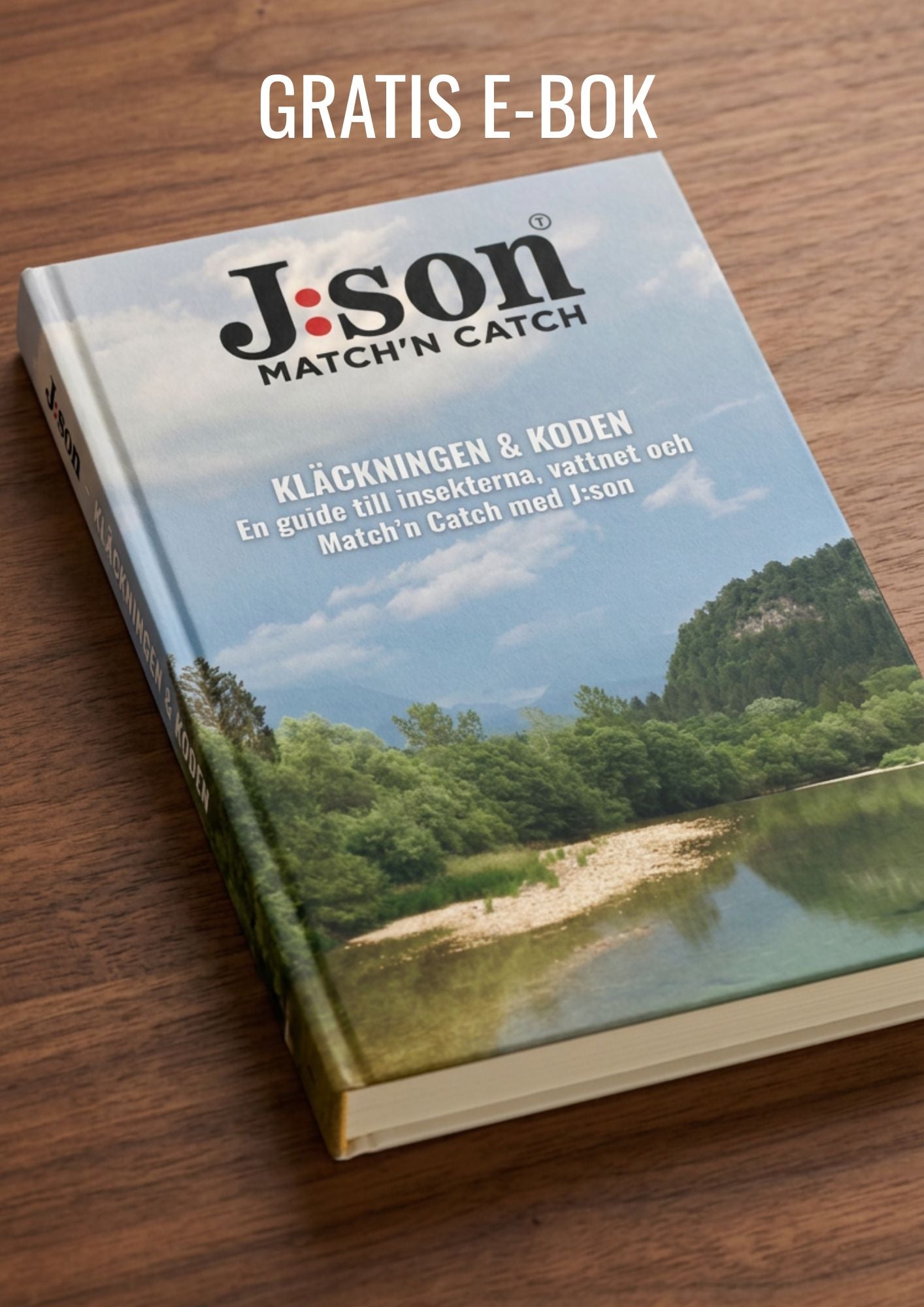 J:son e-bok Match'n Catch - Kläckningen & Koden. Swedish Edition