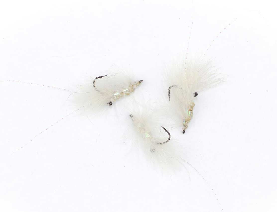 CDC Shrimp White #8