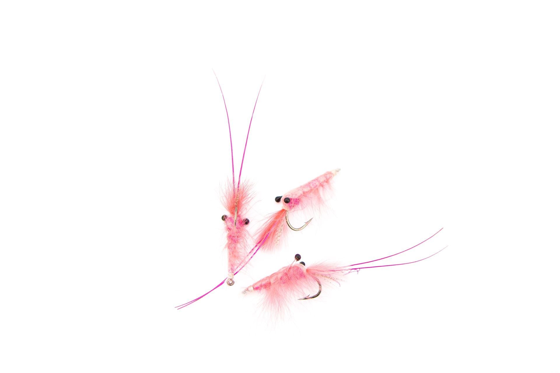 CDC Shrimp Pink #8