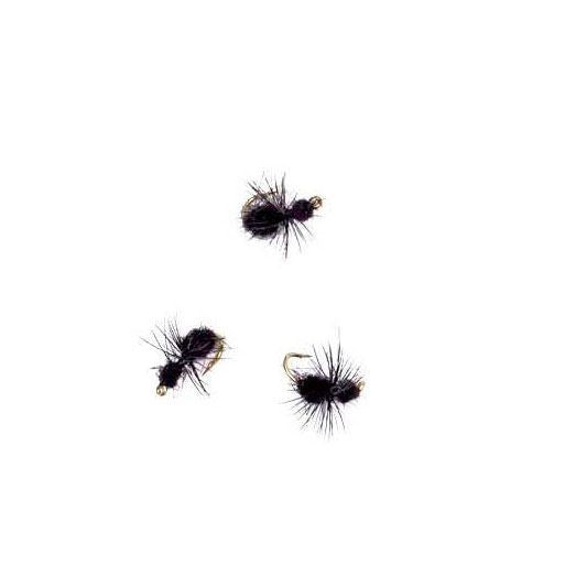 Ant Black #14